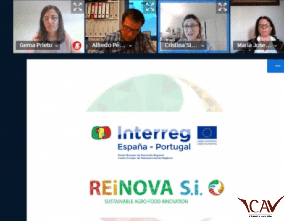 REINOVA-S.i.-Economía-circular